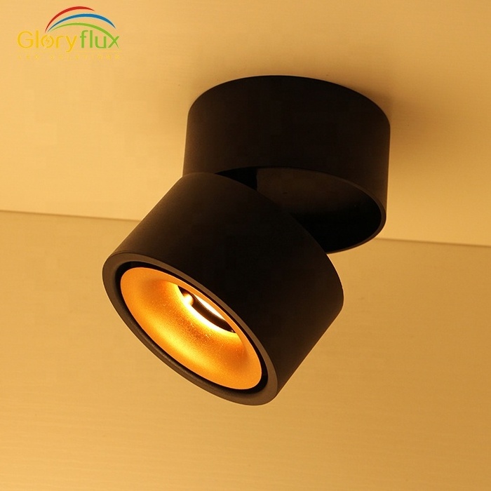 Black and White Color 5W Rotating and Tilting  Unique Design Led Ceiling Light Ceiling Mounted Lamp