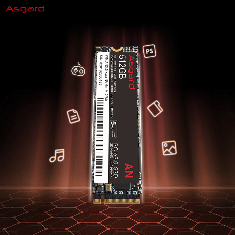 Asgard Wholesale PCIe3.0 NVMe  M.2 ssd Hard Drive 512gb M.2 ssd 1tb