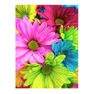 5d Diamond Painting Kits Flowers For Adults Beginners Colorful Daisy Diy Diamond Art Full Drill Daisy Painting Home Wall Decor