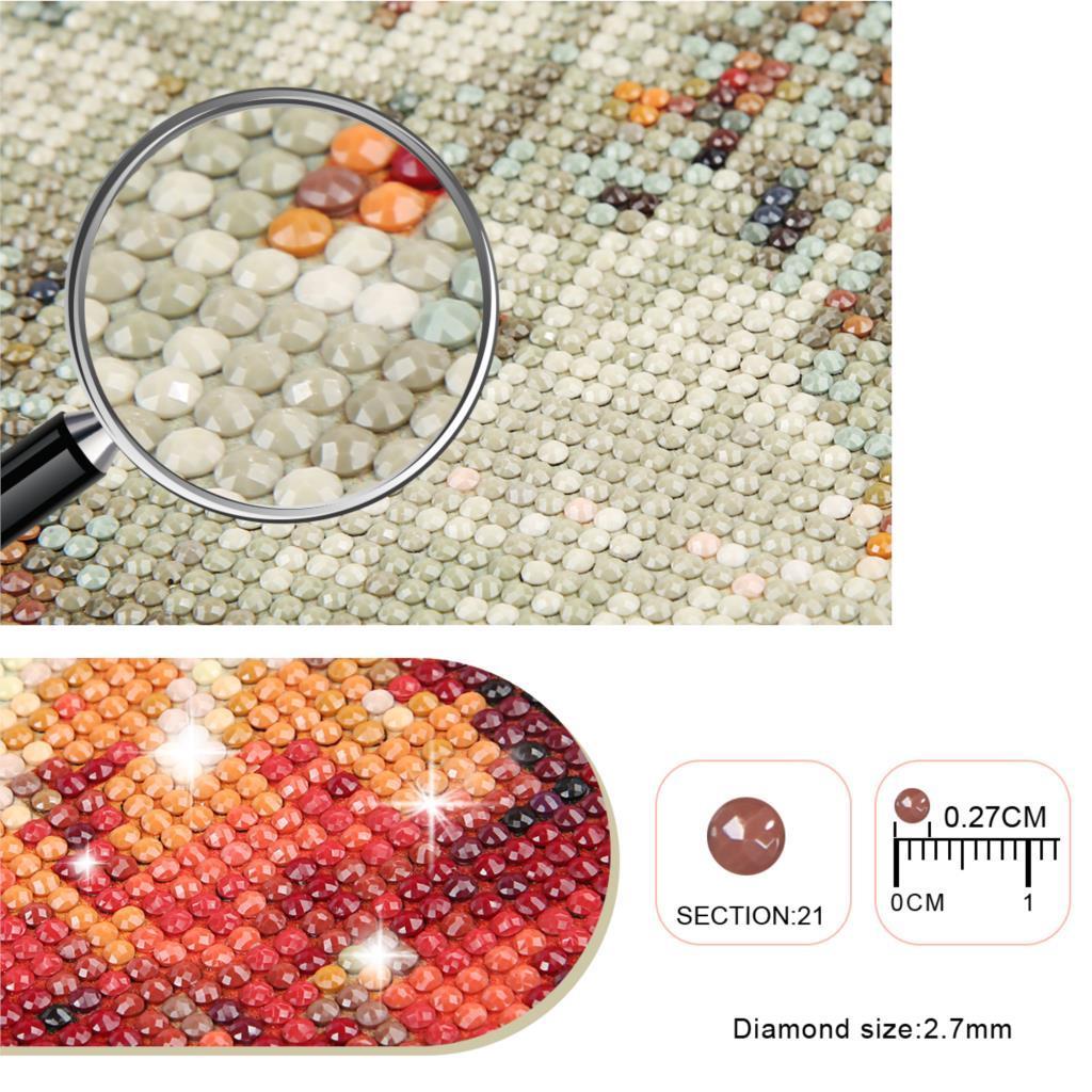 Diy Mosaic Cross Stitch Full Square Round Drill Decoration Home Diamond Embroidered Valley Hot Air Balloon 5d Diamond Painting