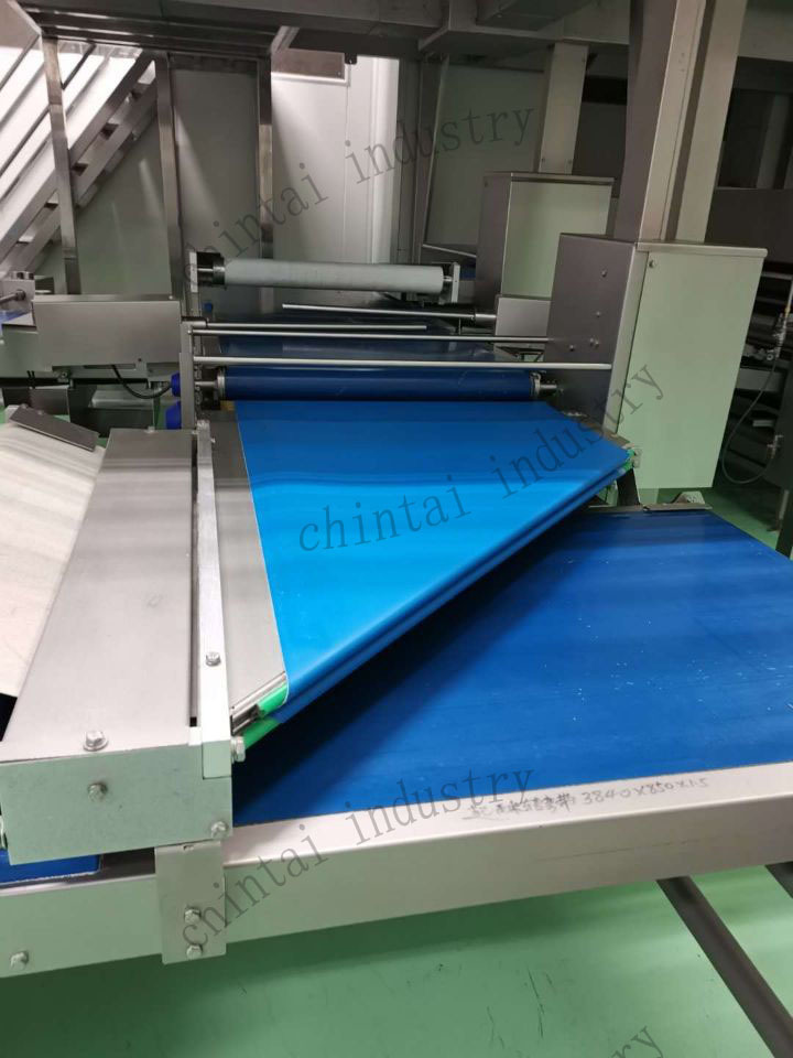 Manufacturer of High Quality  conveyor  Belt For Food Medicine Machinery with Good Price