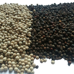 All grades of BLACK PEPPER, WHITE PEPPER with best price from Vietnam ASTA FAQ standard wholesale single spices