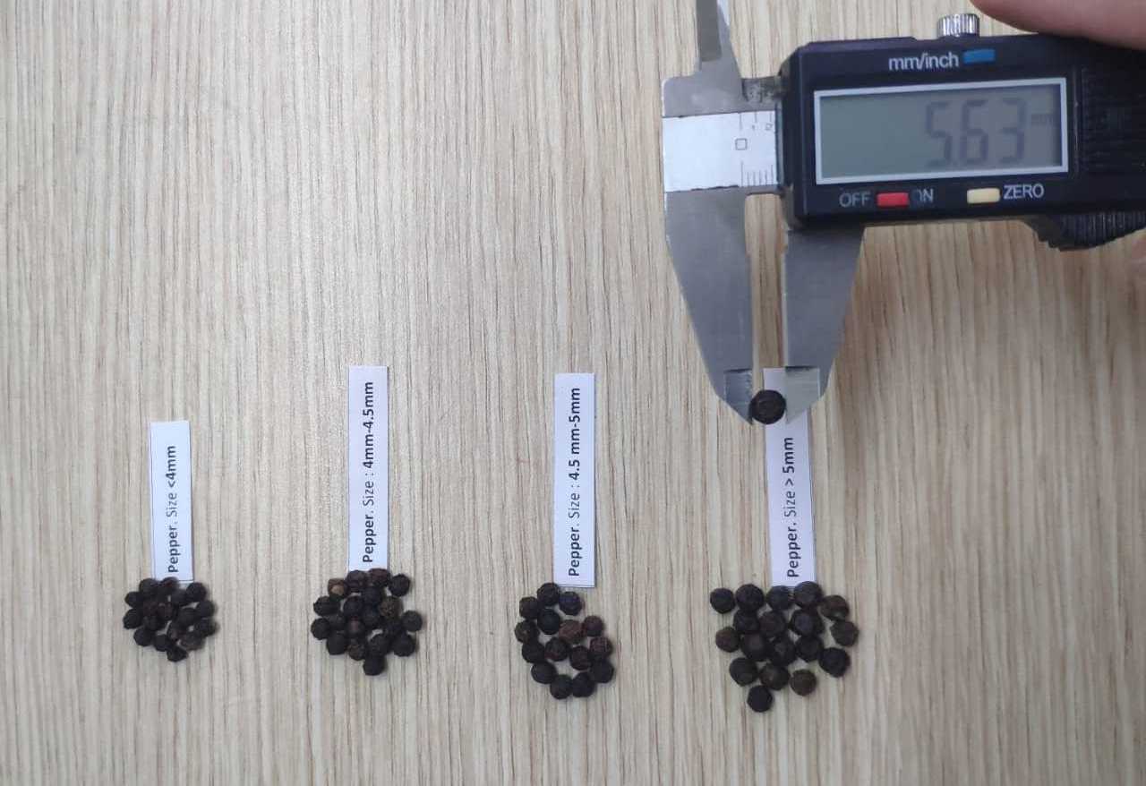 All grades of BLACK PEPPER, WHITE PEPPER with best price from Vietnam ASTA FAQ standard wholesale single spices