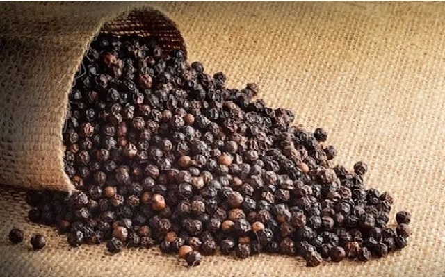 VIETNAM PEPPER HOT SELLING BLACK PEPPER PRICE