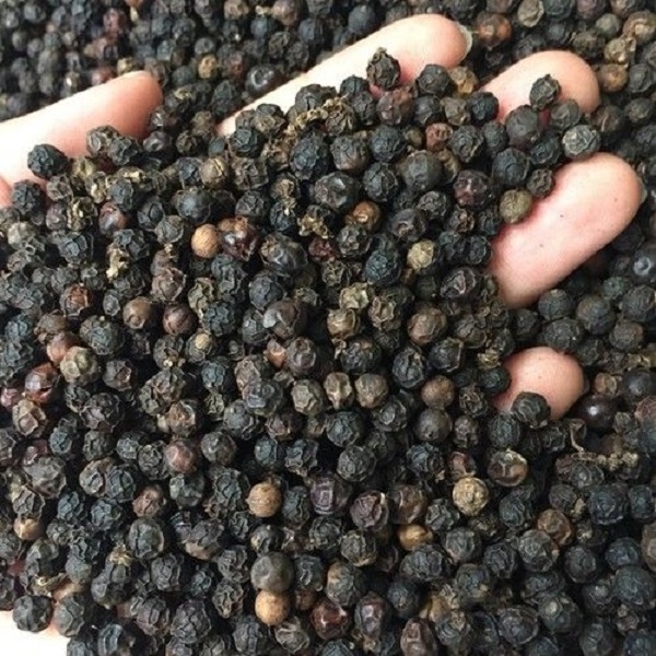 VIETNAM PEPPER HOT SELLING BLACK PEPPER PRICE