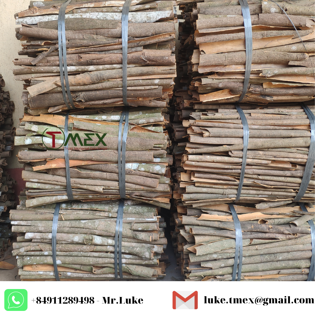 VIETNAM PREMIUM PRESSED CASSIA best price for cassia cinnamon stick