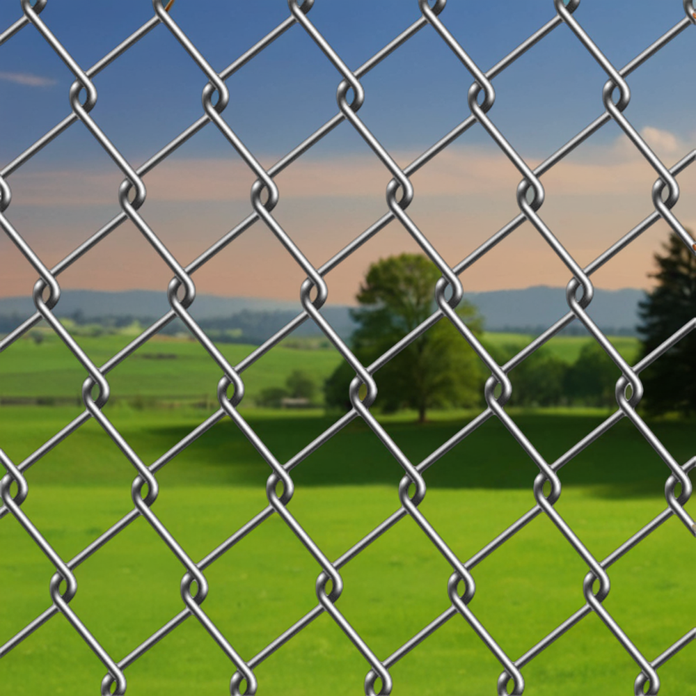 Wholesale Hot Dipped Galvanized Barbed Wire 6mm Aperture Chain Link Fence Extensions from China for Farm Fencing