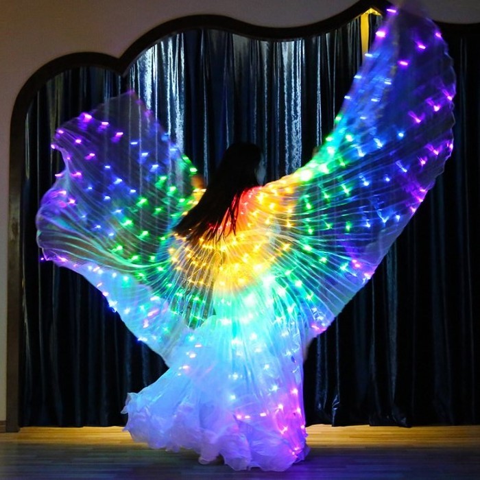 LED light up large belly dance adults fairy wings