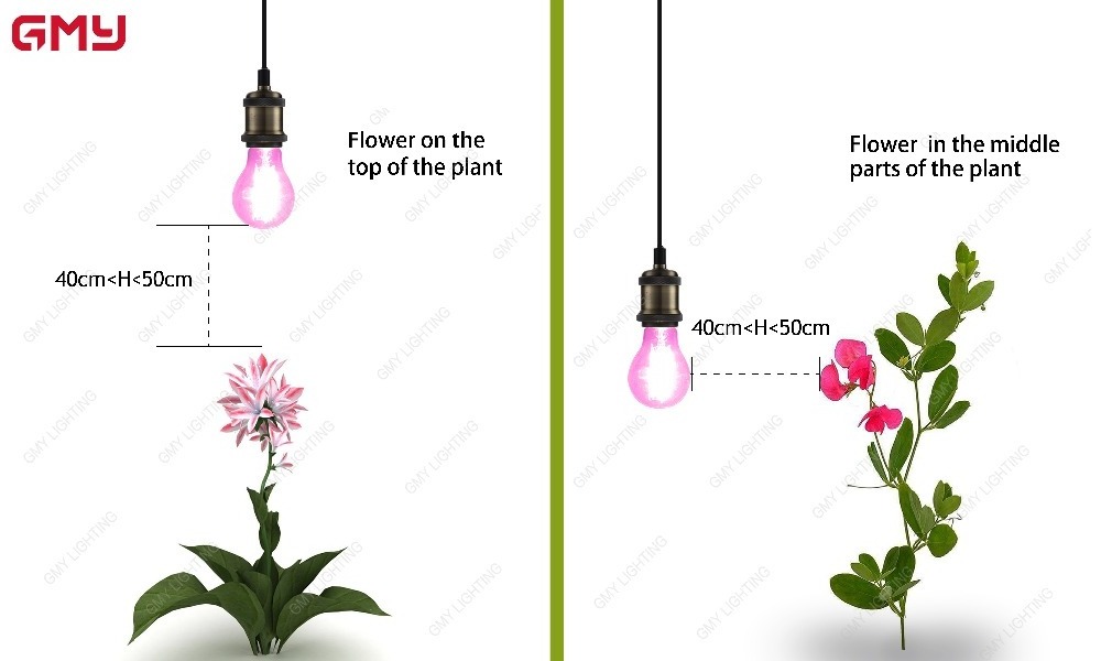 New Red blue spectrum LED plant growing light bulb A19 A60 Flowering control bulb 6W plant grow light 660nm peak wavelength