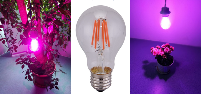 New Red blue spectrum LED plant growing light bulb A19 A60 Flowering control bulb 6W plant grow light 660nm peak wavelength