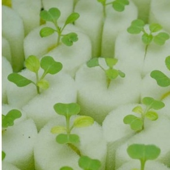 Custom Size Farm Aquaponics System Greenhouse Plant Strawberry Hydroponic Seeding Plant Sponge