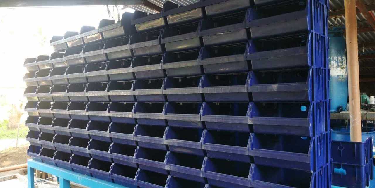 Factory Supply Mud Crab Farming Box Spotted Box Crab Fattening Cages Indoor RAS system