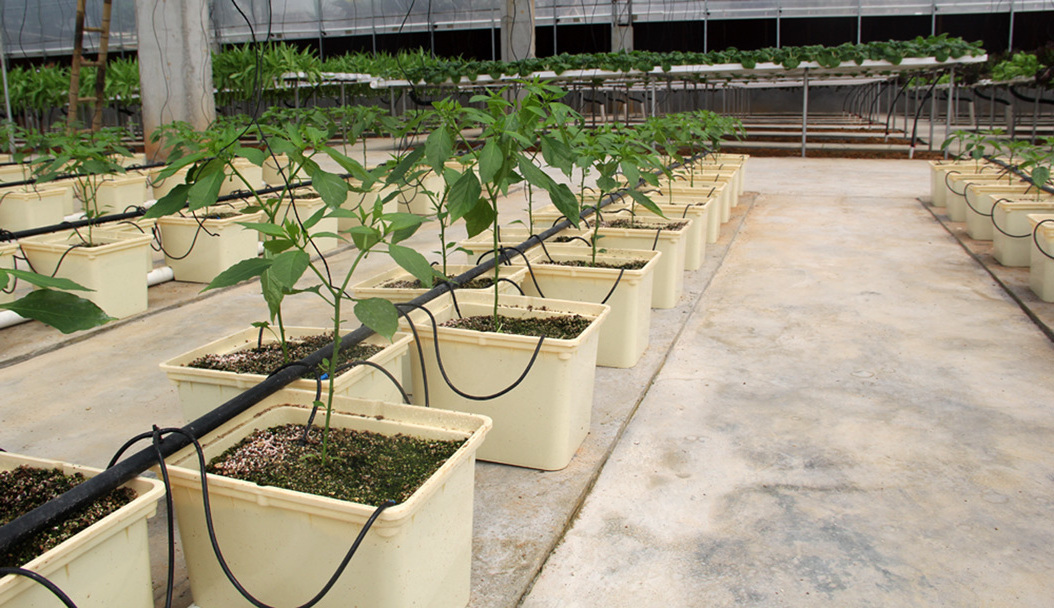 Repeated Planting Cycled Dutch Bucket For Hydroponic Growing Systems