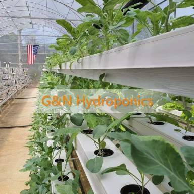 Nursery Greenhouse With Vertical Aeroponics System Piping Type hydroponic grow system NFT Farm hydroponic system