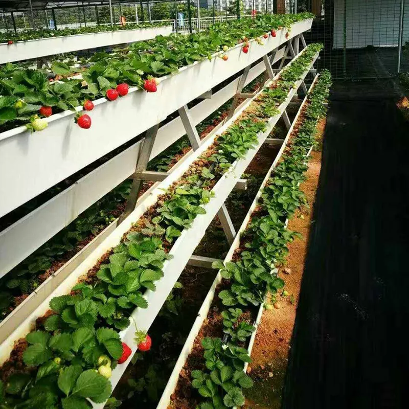 PVC NFT Gutter/Channel For Strawberry Eco-Friendly Hydroponic Vertical Growing System