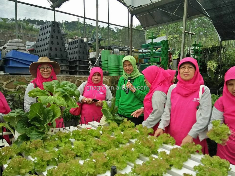 Nursery Greenhouse With Vertical Aeroponics System Piping Type hydroponic grow system NFT Farm hydroponic system