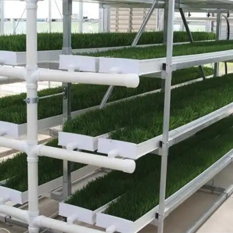 Aeroponics Fodder Hydroponic System NFT Channel  Tray Gutter Hydroponic Vertical Growing Systems