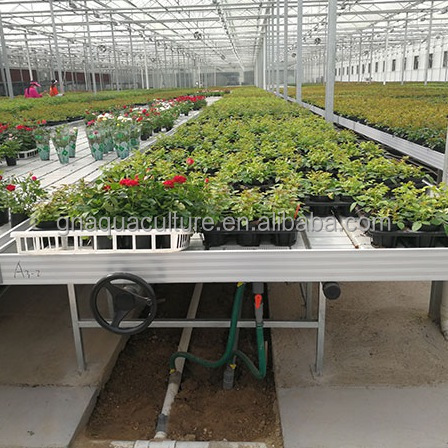 Greenhouse rack ebb and flow benches 4x8 rolling grow tables