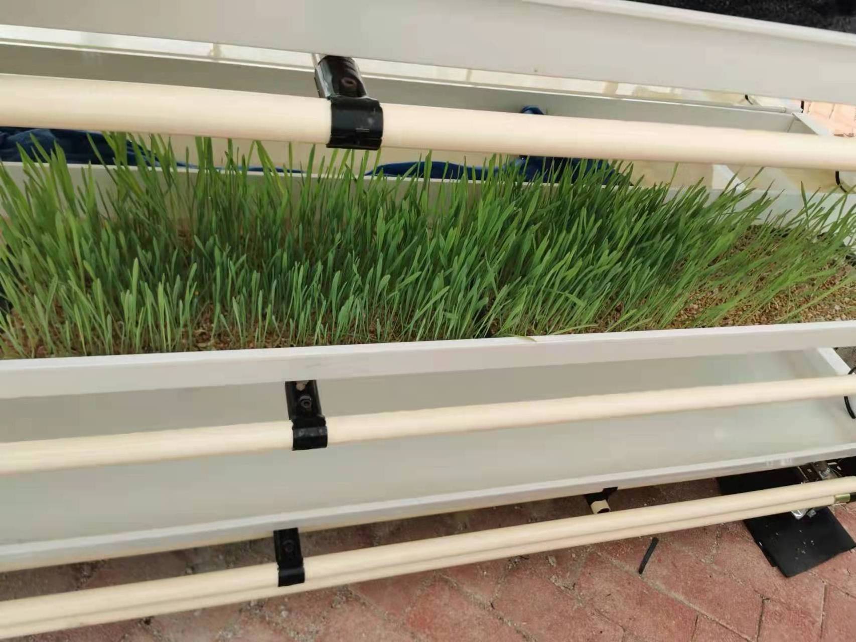 Hydroponic Barley Fodder Fodder Tray Plastic Seedling Tray Hydroponics Barley Hydroponic Fodder Gutter