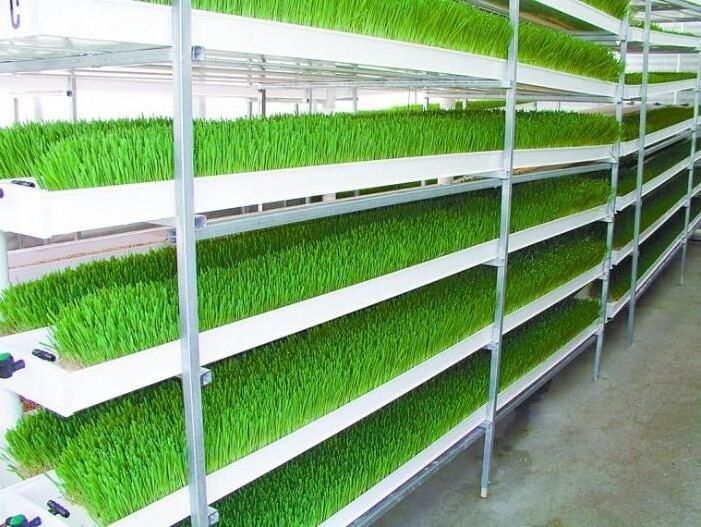 2023 New Arrival Hydroponic Fodder Trays Plastic Cultivate Barley Seeds With Kits Indoor Plant Growing Systems Fodder Gutter