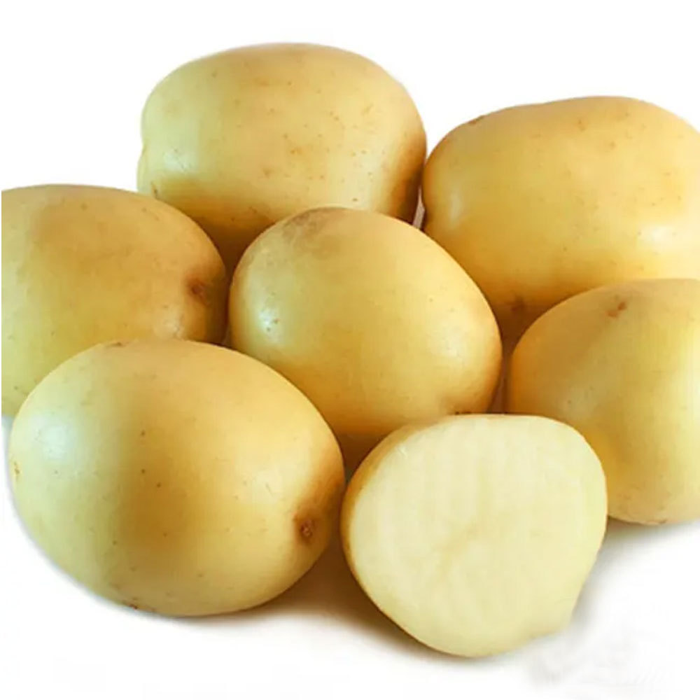 Light Weight Mozika Potatoes Fresh Mozika Potatoes Made In High Quality Mozika Potatoes