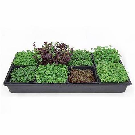 Competitive price 128 well plug tray planting seedling germination plastic tray