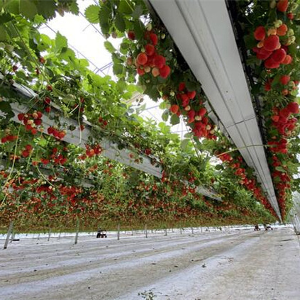 PVC Substrate Grow Bag Gutters Channel Stainless Steel Gutter