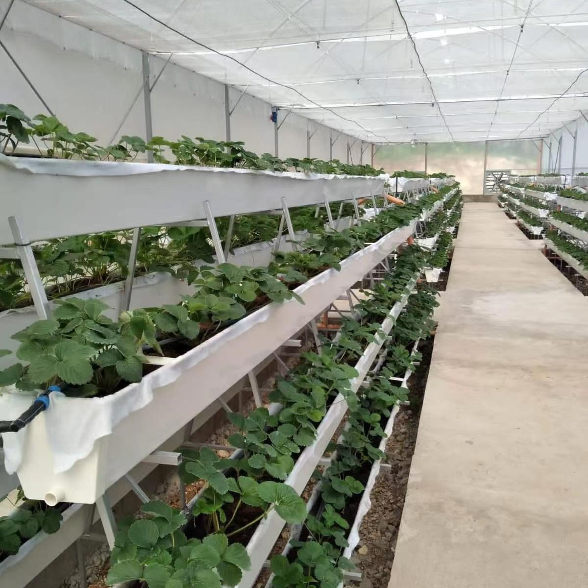 High Quality PVC Soilless Cultivation Planter Gutter Strawberry Greenhouse Hydroponic Growing Shelf Indoor And Outdoor