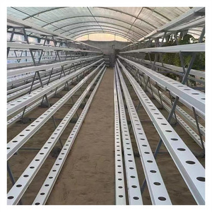 Commercial Good Quality tray seeder Hydroponic NFT growing system for Leafy vegetable