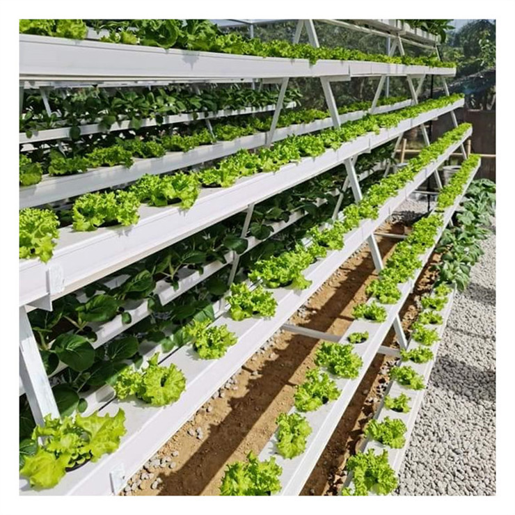 Commercial Good Quality tray seeder Hydroponic NFT growing system for Leafy vegetable