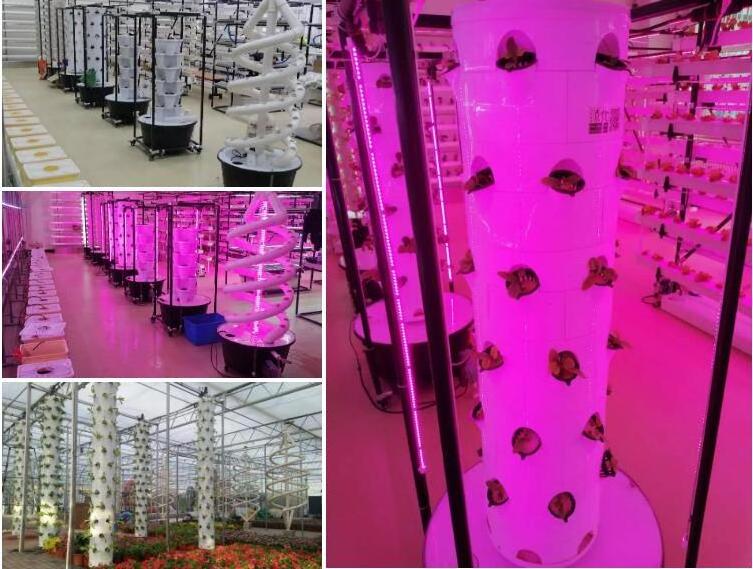 Vertical growing tower Multi Layers Hydroponic Plant Grow Kit Indoor Aeroponics Hydroponics strawberry system