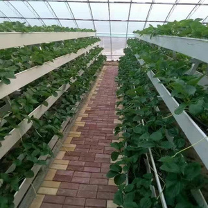 High Quality PVC Soilless Cultivation Planter Gutter Strawberry Greenhouse Hydroponic Growing Shelf Indoor And Outdoor