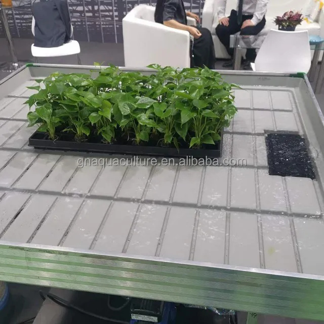 Greenhouse hydroponic 4x8 4x10 4x12 tray ebb and flow system growing tables for plants and seed growing