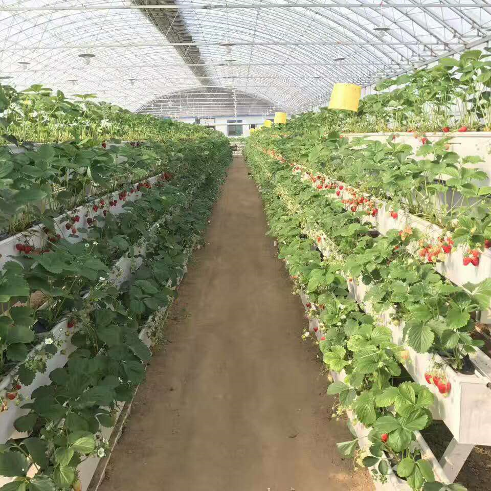 High Quality PVC Soilless Cultivation Planter Gutter Strawberry Greenhouse Hydroponic Growing Shelf Indoor And Outdoor