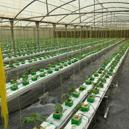 Multi-Span Agricultural greenhouse equipment Greenhouse plastic grow bag gutter