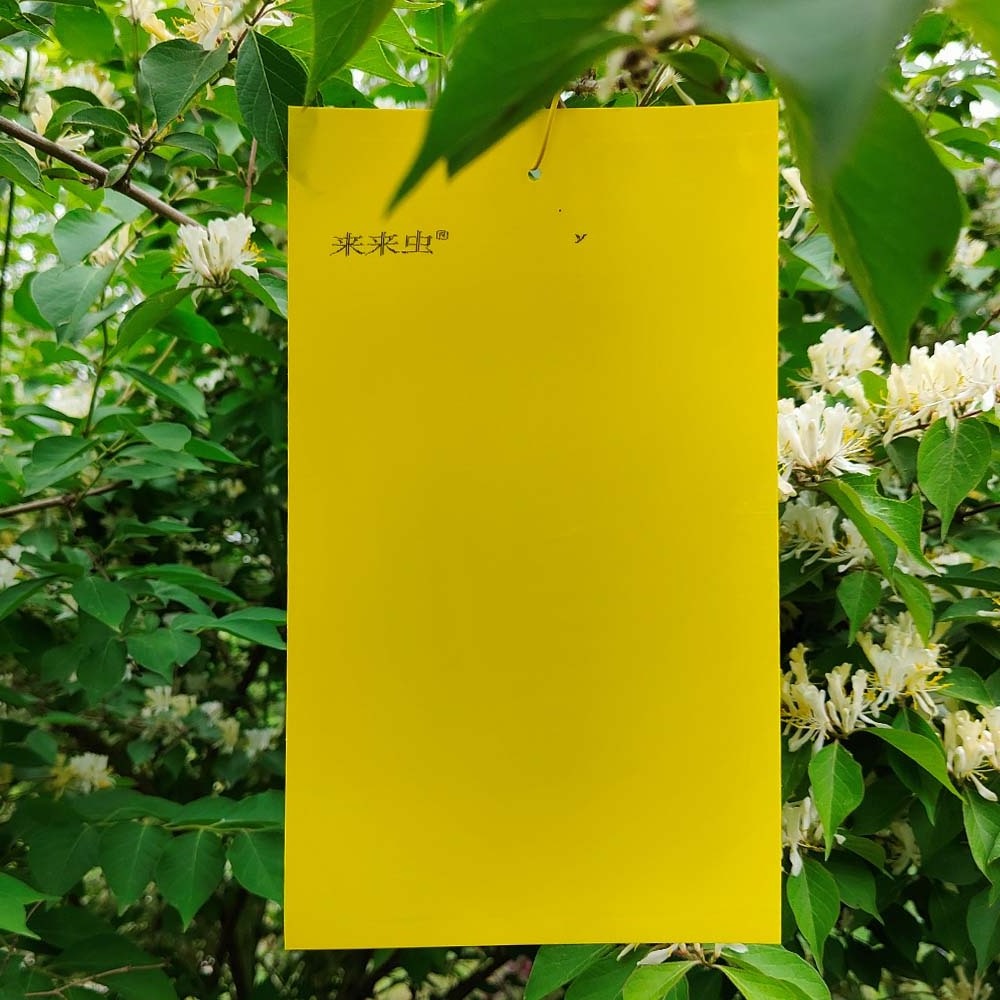 Large Yellow Sticky Insect Traps  Catch All Flying Greenhouse Pests Hanging Bugs Sticky Boards