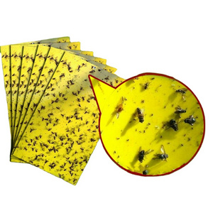 Outdoor Sticky Board Greenhouse Insect Trap Insect Killer Ant Farm Plastic Bags and Carton Packing Indoor & Outdoor Farm Device