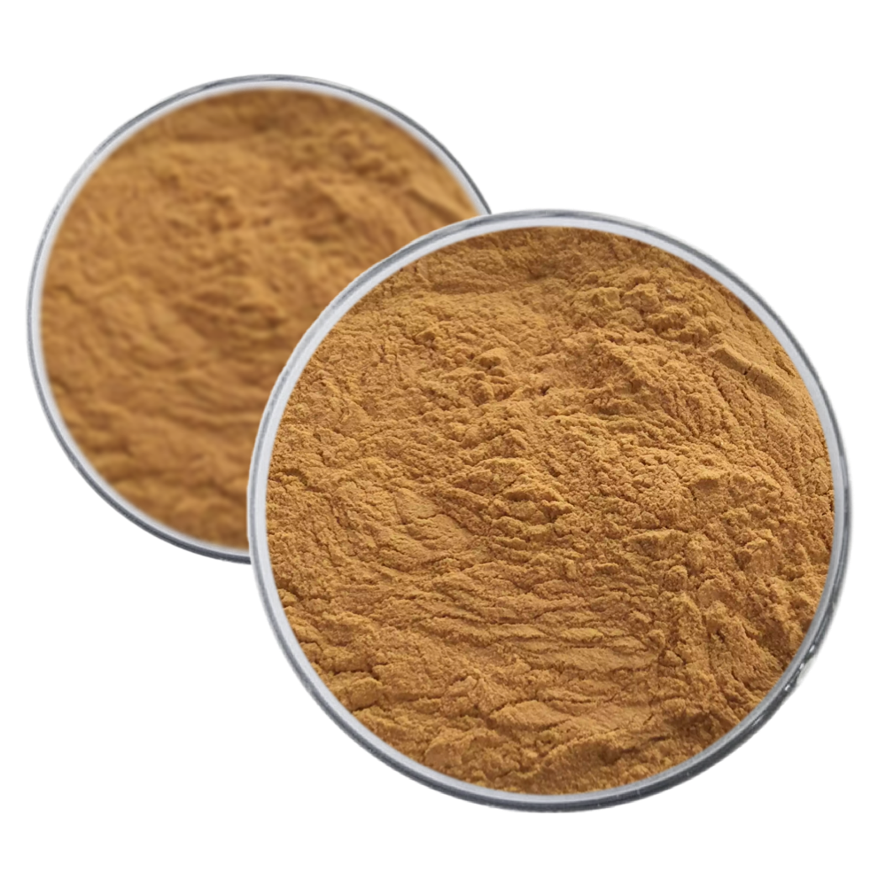 Natural Tea Tree Mushroom Polysaccharides 10%-50% Agrocybe Aegerita Extract Poplar Mushroom Extract Powder