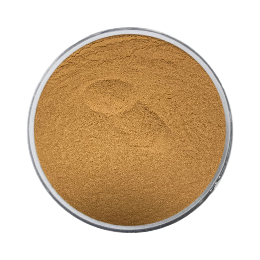 Natural Tea Tree Mushroom Polysaccharides 10%-50% Agrocybe Aegerita Extract Poplar Mushroom Extract Powder