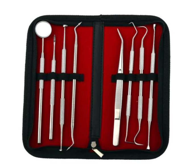 8 Pieces Stainless Steel Oral Teeth Care Cleaning Dental Kits Tools