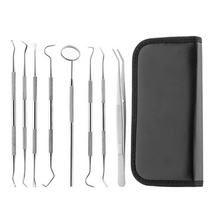 8 Pieces Stainless Steel Oral Teeth Care Cleaning Dental Kits Tools