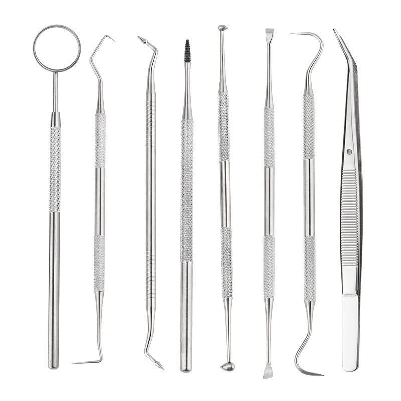 8 Pieces Stainless Steel Oral Teeth Care Cleaning Dental Kits Tools