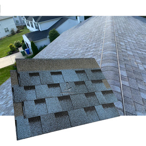 Color coated bitumen roofing shingles high standard Insulation and waterproof architectural asphalt roofing shingles for house