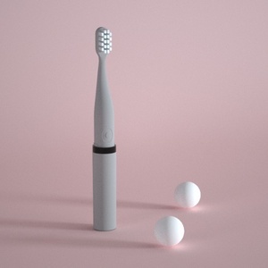 New Product High Vibration Travelling Case Mini Electric Toothbrush With Replacement Toothbrush Heads