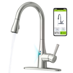 Water Quality Monitoring APP Control Kitchen Sink Faucet Pull Down Touchless Faucet Automatic Sensor Faucets