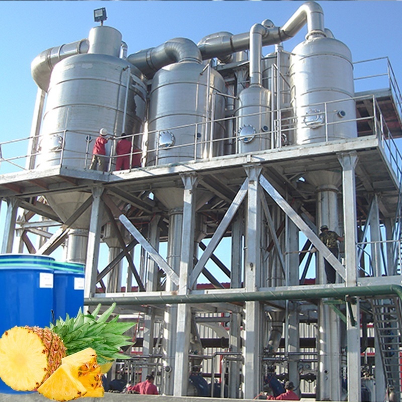 The leading manufacturer of automatic pineapple juice processing machine