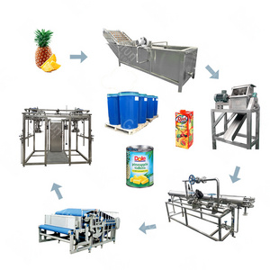 The leading manufacturer of automatic pineapple juice processing machine