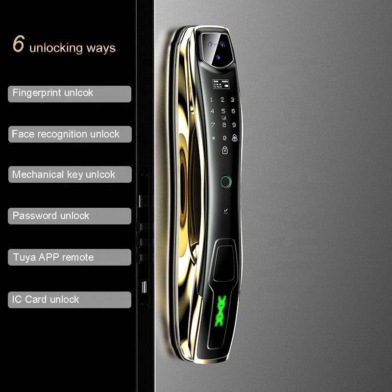 Fingerprint Tuya Camera Lock Safely Keyless Entry Exterior Door Lock Password Access Gold Print 1 Piece Memory Card Wifi F15