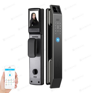 Goking Wholesale Automatic Keyless Digital Biometric Fingerprint Lock Electric Face Recognition Front Door Lock For Outdoor Gate