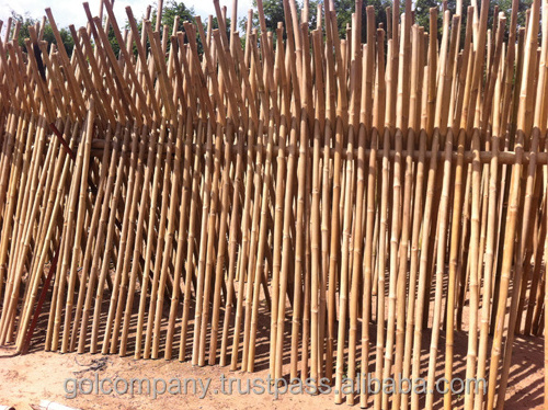 Tam Vong - Bamboo Fencing - Privacy Fence Panel Roll